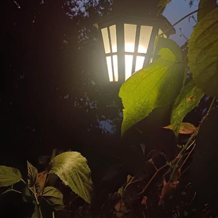 Aam'S Courtyard Hotell Kalimpong Eksteriør bilde