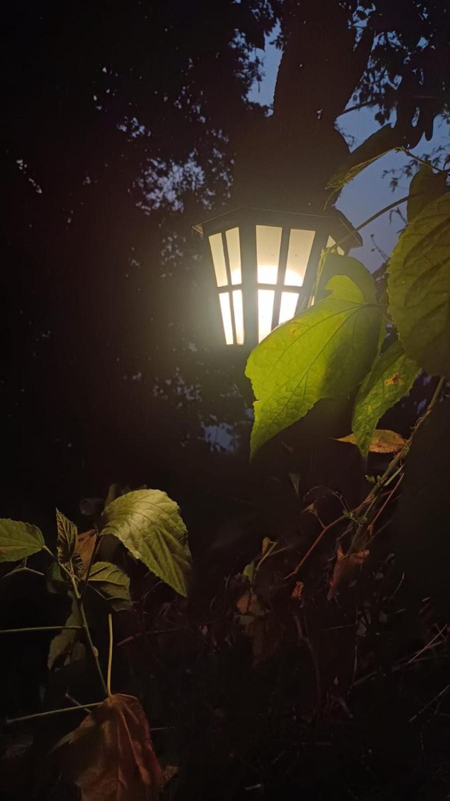 Aam'S Courtyard Hotell Kalimpong Eksteriør bilde