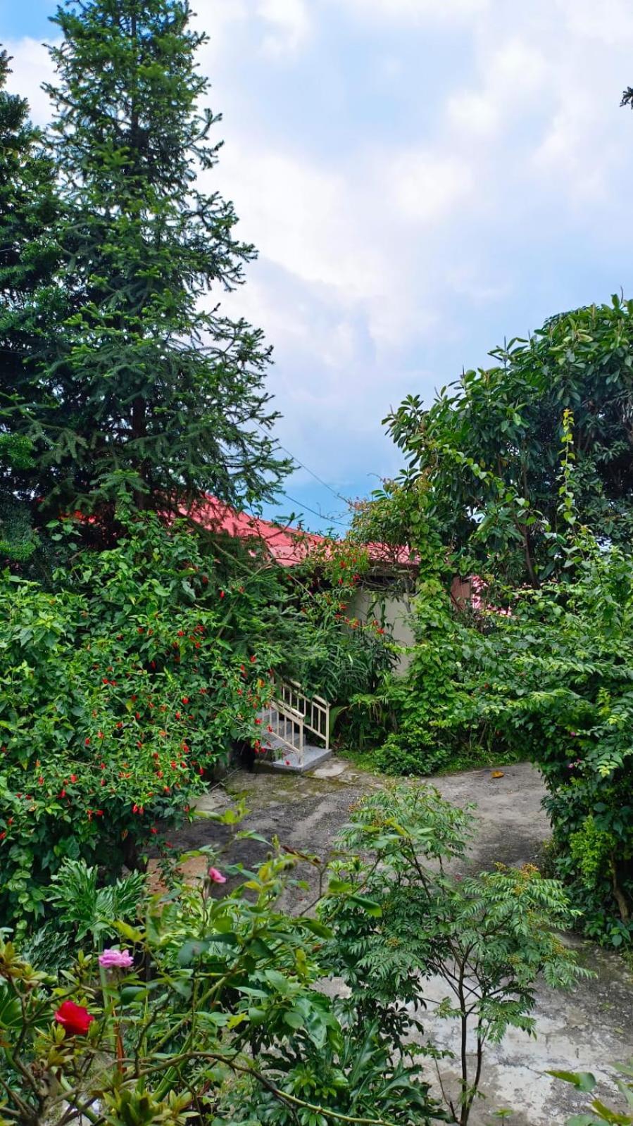 Aam'S Courtyard Hotell Kalimpong Eksteriør bilde